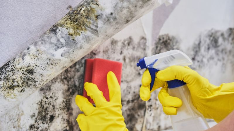 West Palm Beach, FL
