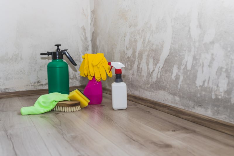 Air Duct Mold Removal in Fort Lauderdale, FL