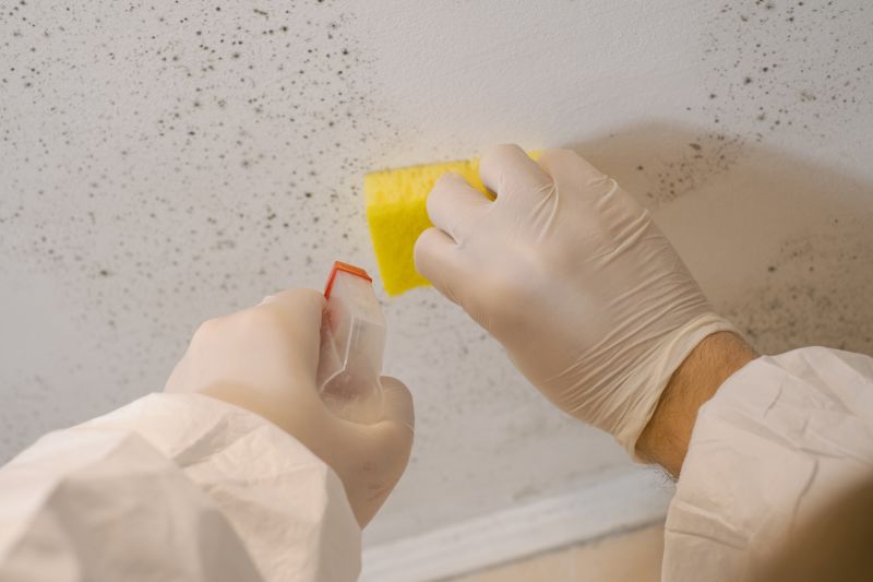 Attic Mold Remediation in Bergen County, NJ