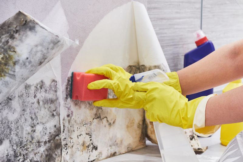 Basement Mold Removal in Fort Lauderdale, FL
