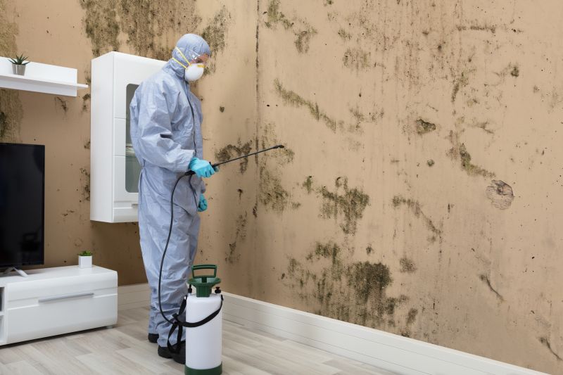 Black Mold Removal in Fort Lauderdale, FL