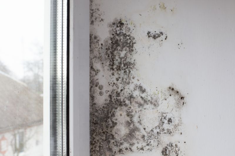 Ceiling Mold Removal in Frisco, TX