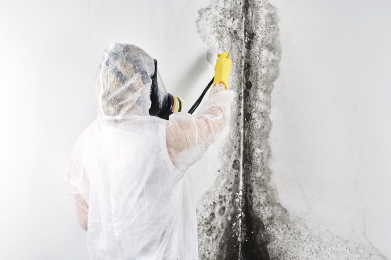 Crawl Space Mold Removal in Dallas, TX