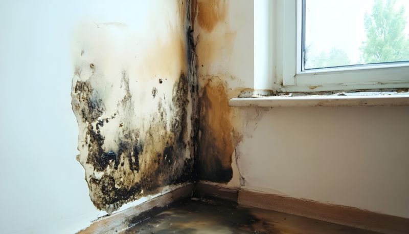 Crawl Space Mold Removal in Bergen County, NJ