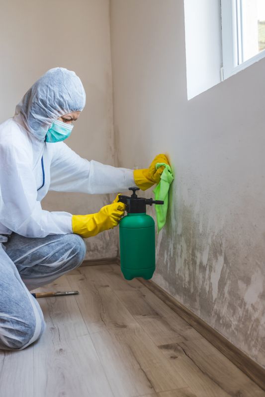 Crawlspace Mold Remediation in Frisco, TX