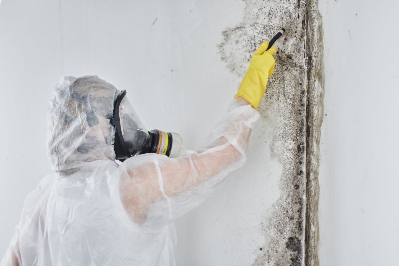 Mold Abatement in Mckinney, TX