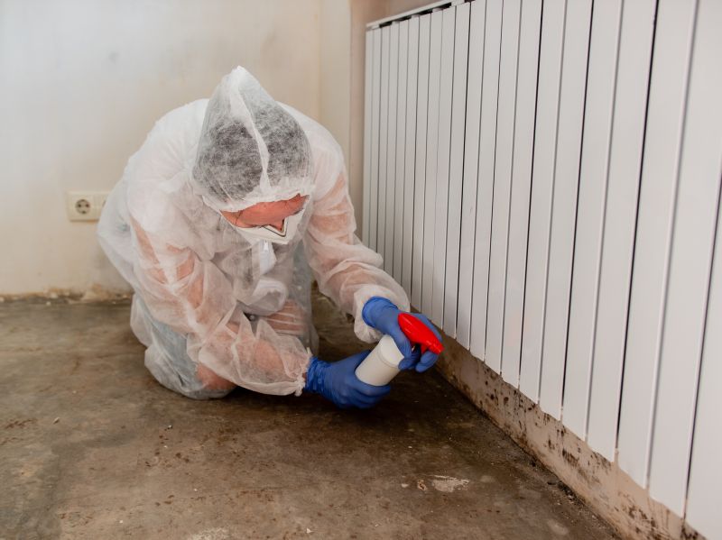 Mold Abatement Service in Frisco, TX