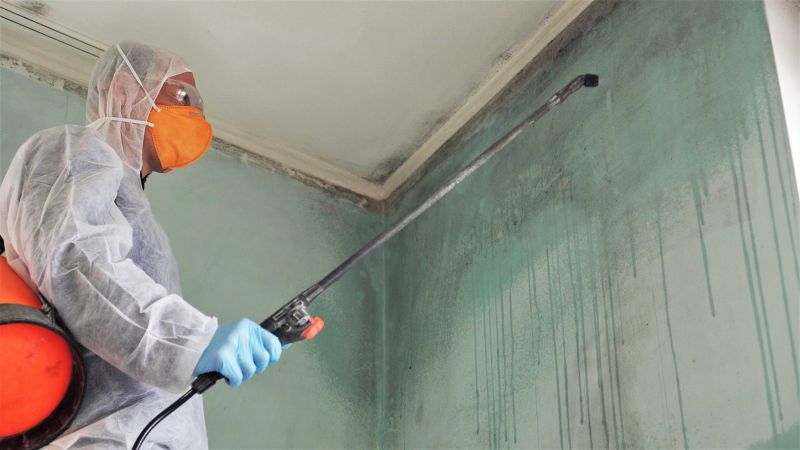 Mold Abatement Service in Broward County, FL