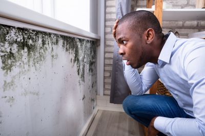 Mold Detection in Arlington, TX