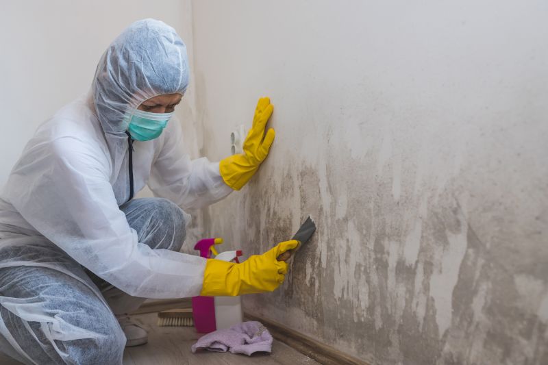 Mold Mitigation Service in Boca Raton, FL