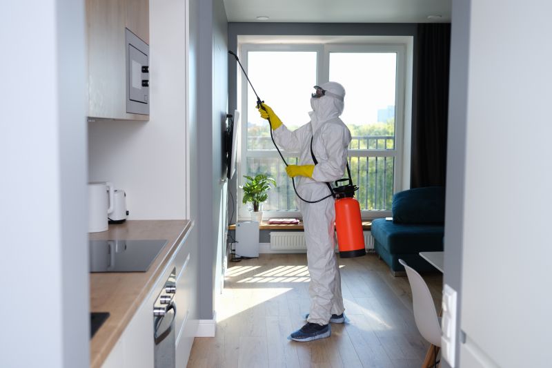 Mold Removal in Frisco, TX
