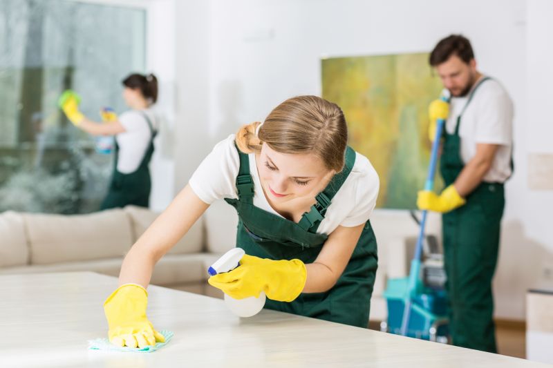 Tailoring Cleaning Services To Fit Your Needs