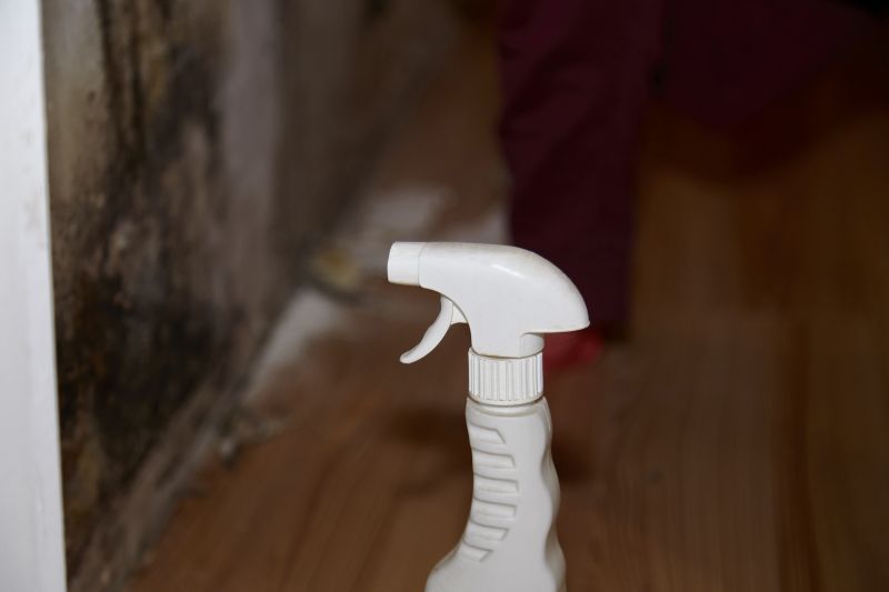 White Mold Mitigation in Fort Lauderdale, FL