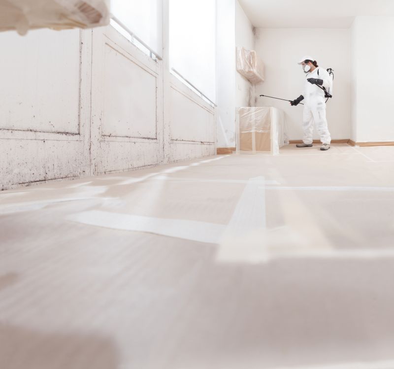 White Mold Mitigation in Fort Worth, TX