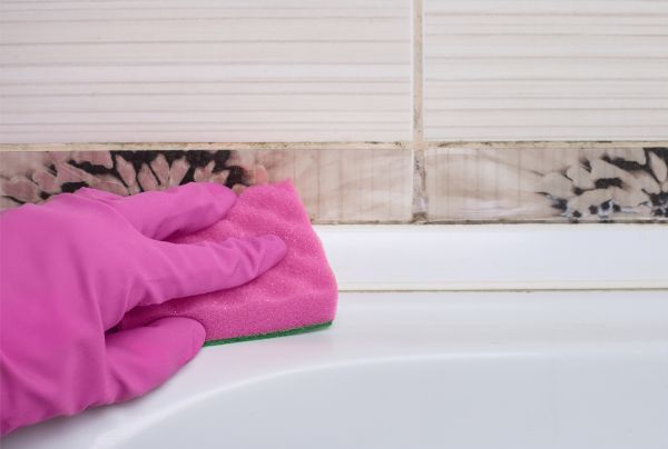 Tile Mildew Removal - Tile Mildew Removal Houston, Texas